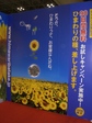 CIMG2207.JPG